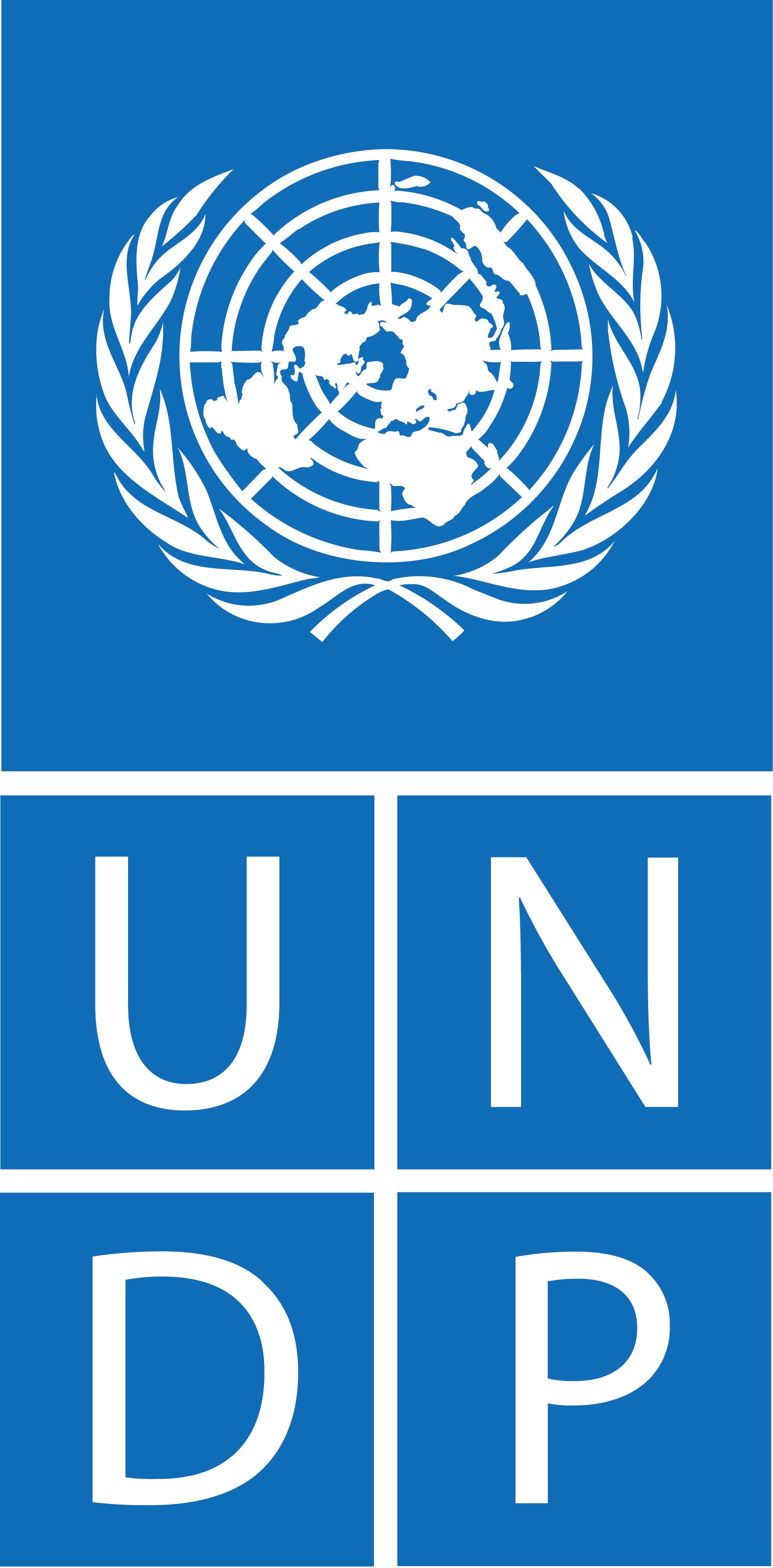 UNDP Türkiye Logosu